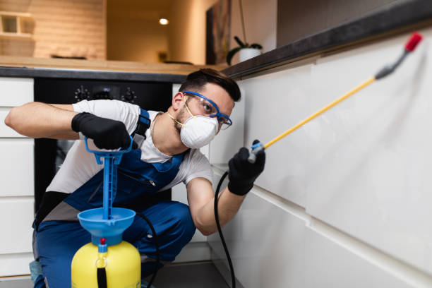 Best Pest Removal Services  in Fairwood, MD