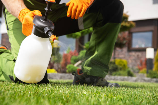 Best Wildlife Control Services  in Fairwood, MD