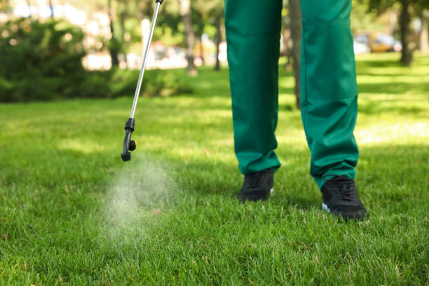 Best Pest Control Near Me  in Fairwood, MD