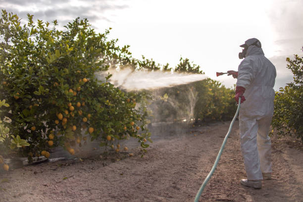 Best Pest Prevention Services  in Fairwood, MD