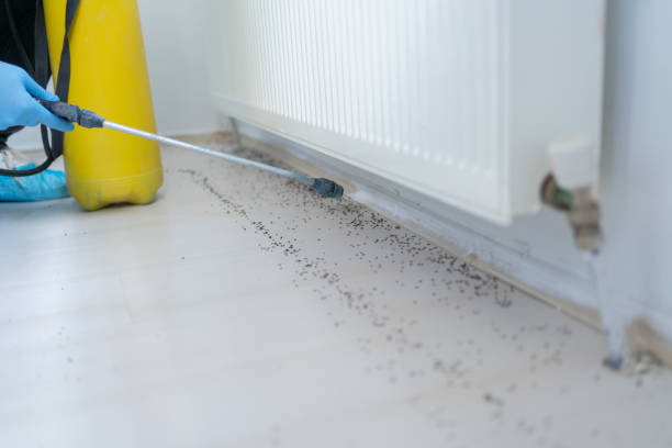 Best Wasp Removal Services  in Fairwood, MD