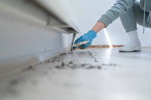 Best Best Pest Control Companies  in Fairwood, MD
